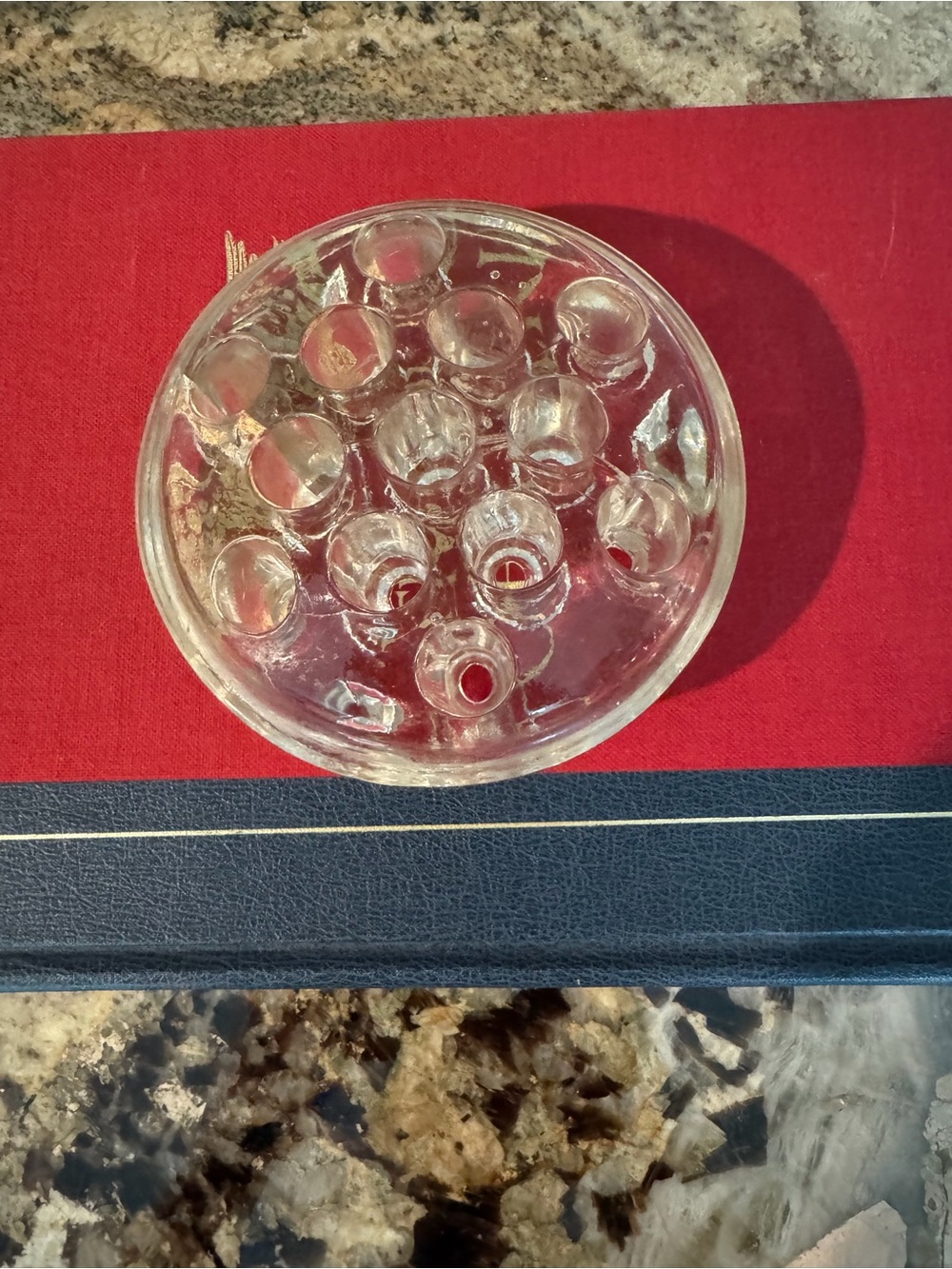 Clear Glass Flower Frog Vase Insert